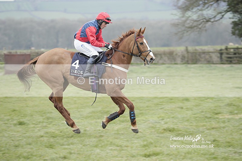 PtP 050323 798 - Blackmore & Sparkford Vale Hunt PtP - Somerset 05/03/23