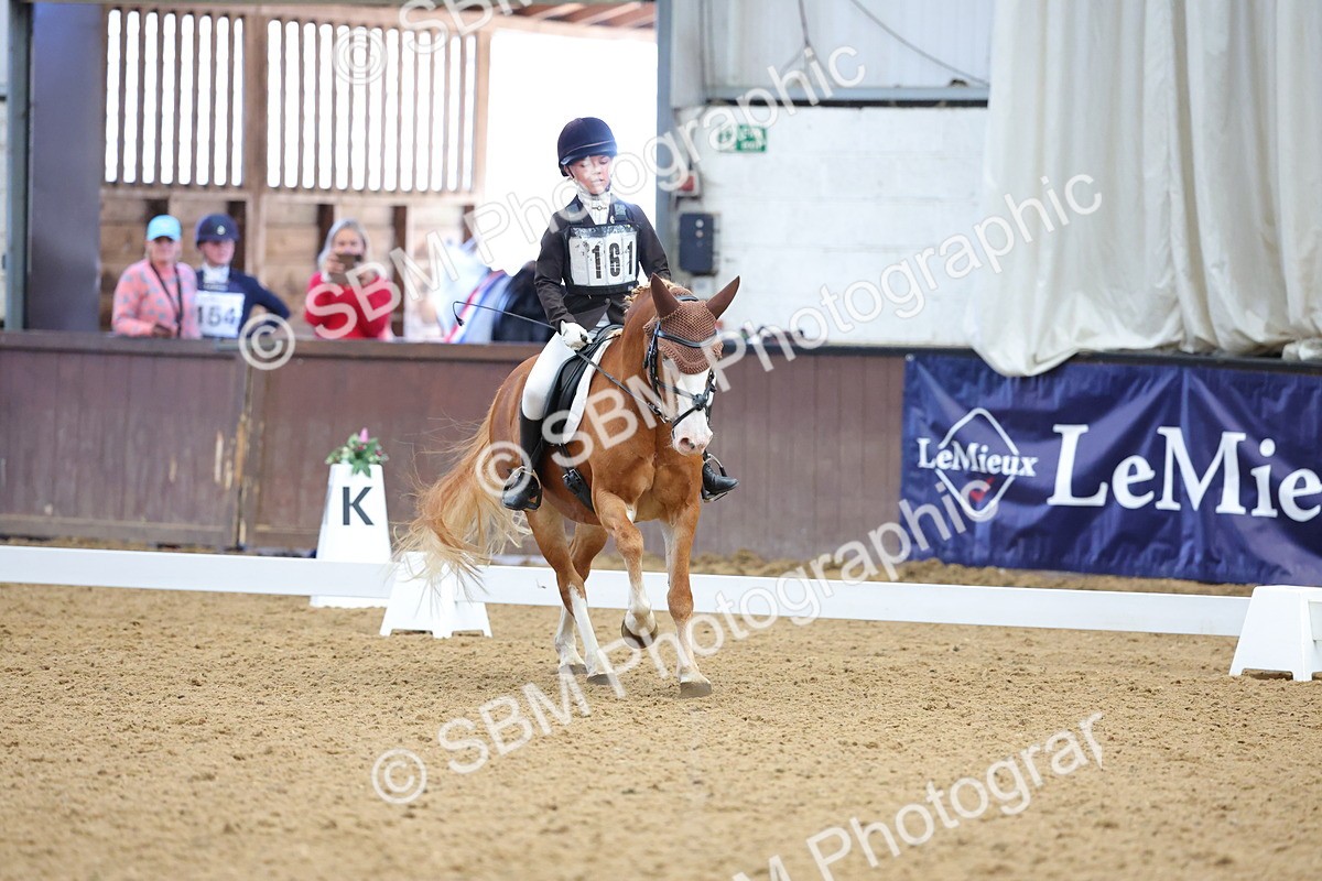 SBM_002970 - Novice