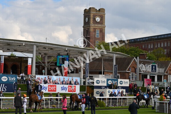 yr12052021r7-4 - Race 7 4.50 pm Conundrum HR Consulting Stakes