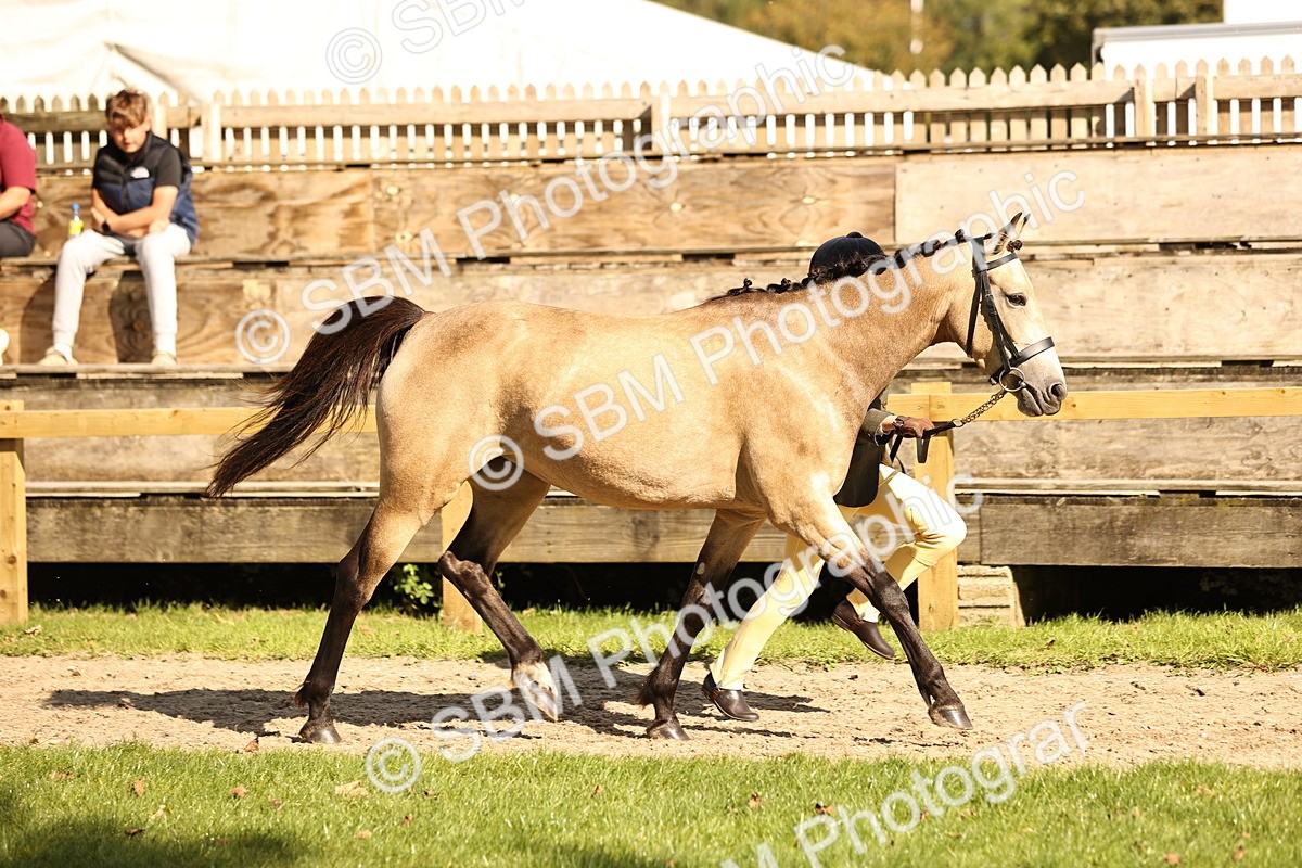 SBM_26183 - S5 - Novice & Newcomers In Hand