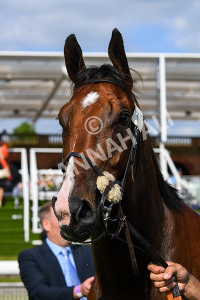 270523-Race 7-Shining Blue-1046 - Race 7 5.00pm Reg Bond Always And Forever Handicap