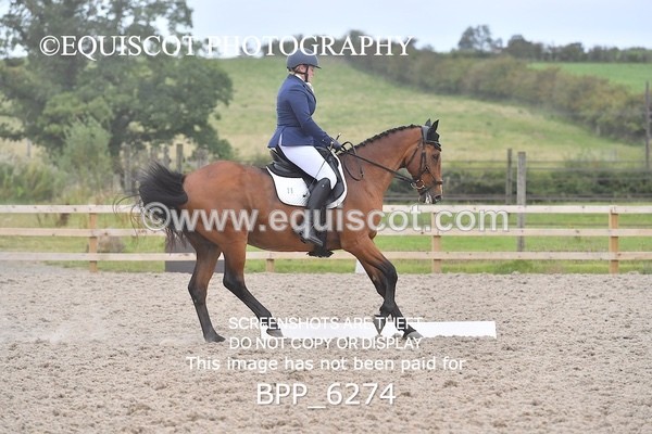 BPP_6274 - MEDIUM TEST 5 LONG ARENA