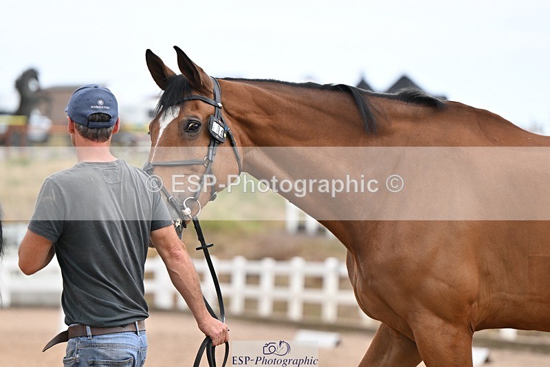 250716-145716-01548 - Trot Up 2.30 to 3.30