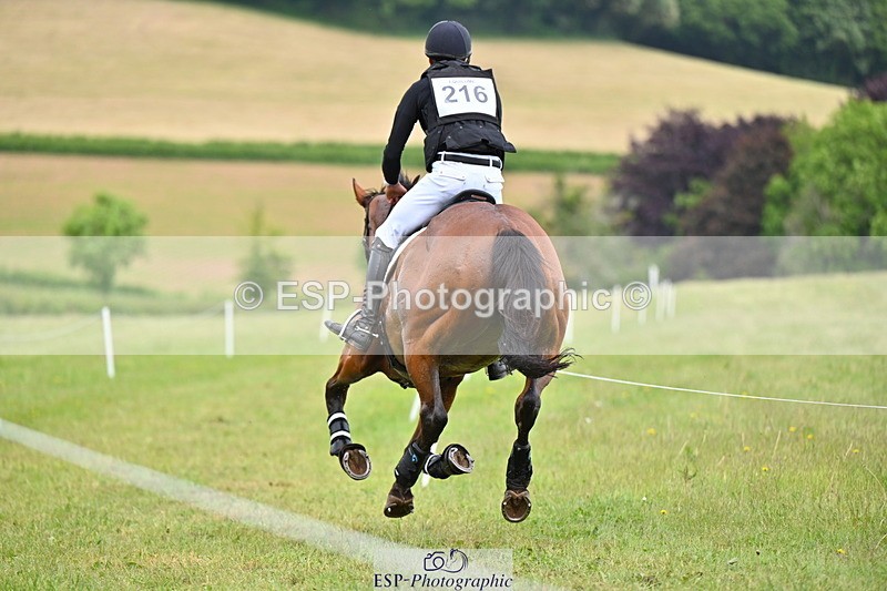 250524A-150204-13950 - C-216-Harrison.Chart-MY.KIND.OF.LADY