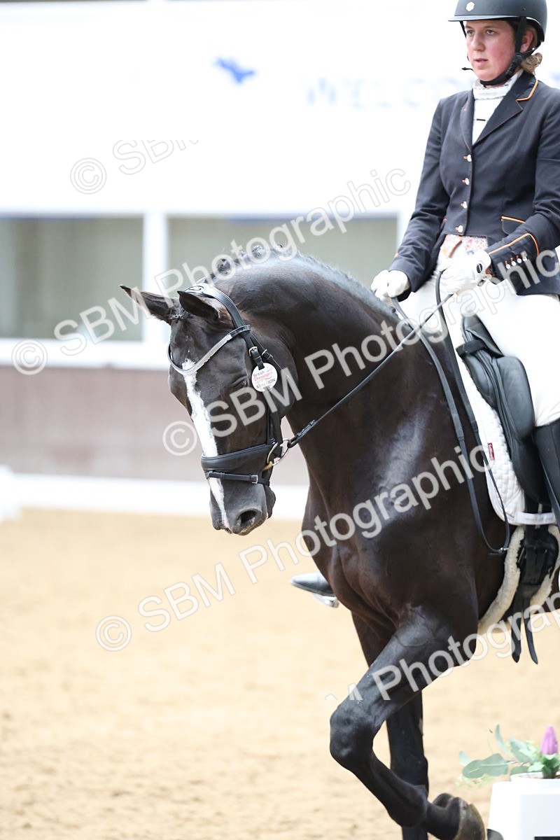SBM_003522 - Class 5 - Novice 6 Gold - 13.05-14.00