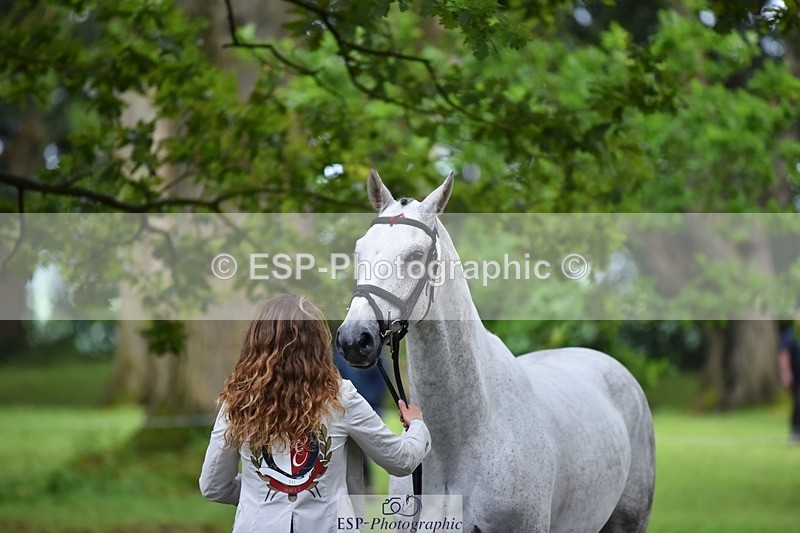 240522-172920-01644 - 291-UPSI_BRITANNIA-Ellie_Fredericks