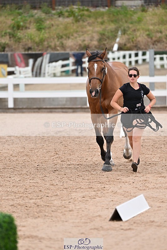 250716-141134-00958 - Trot Up 1.30 to 2.30