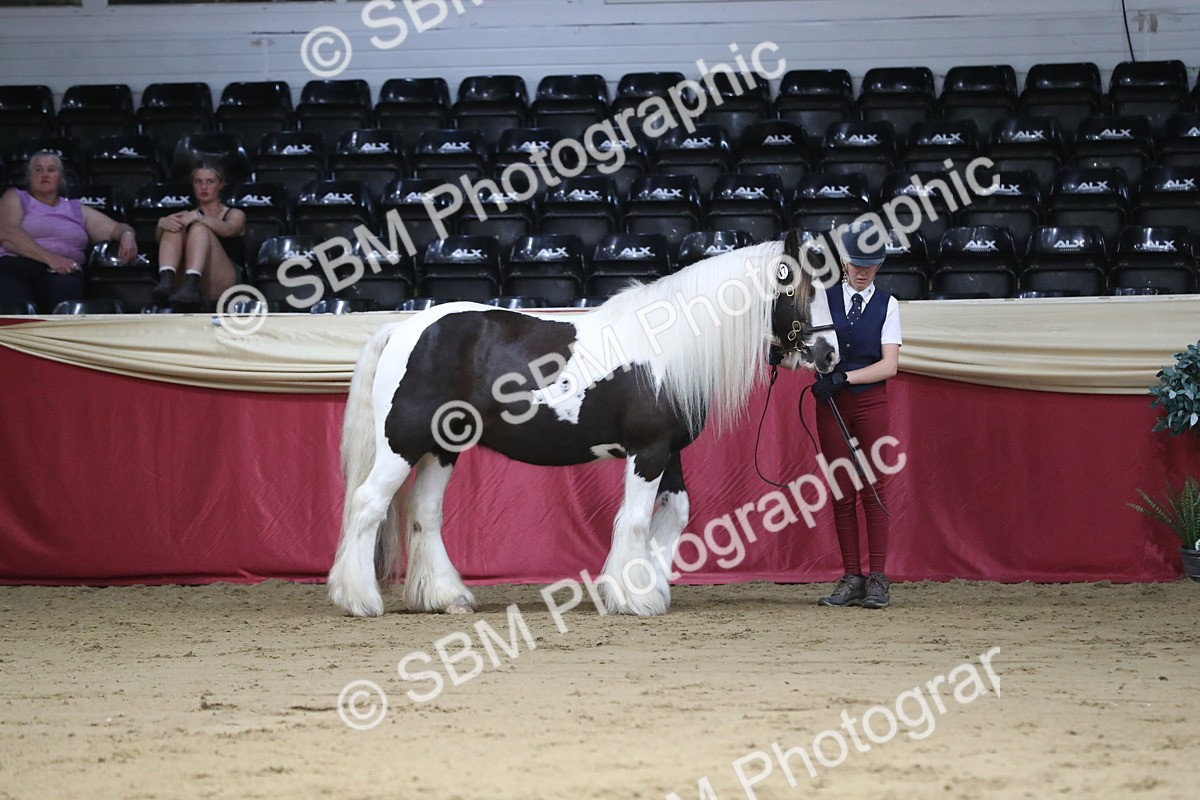 SBM_06242 - Class 9R Regional- IH Pre Vet