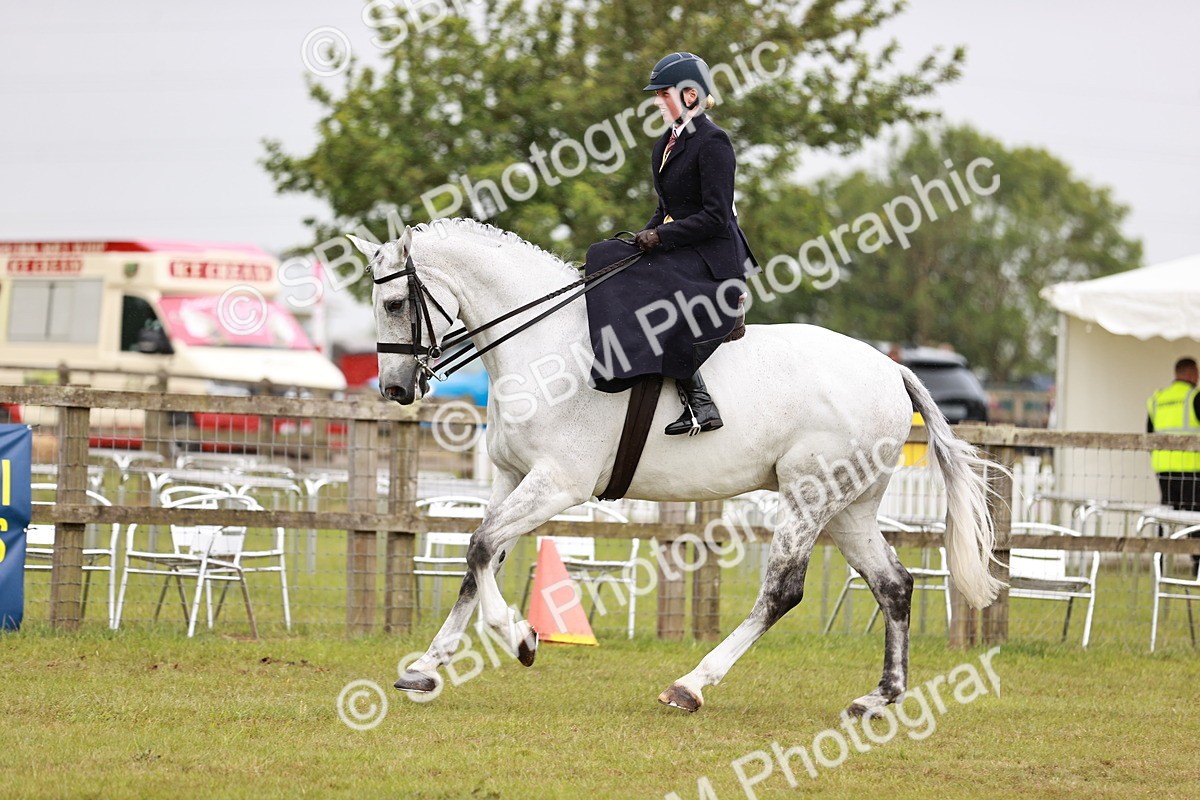 SBM_10979 - Class 81-84 - RIHS Ridden hunters Inc Ladies Hunter