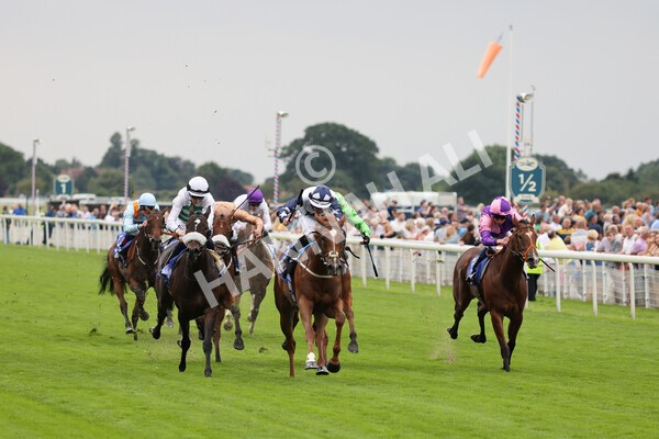 yr19082021r1-16 - Race 1 1.50pm Sky Bet Lowther Stakes