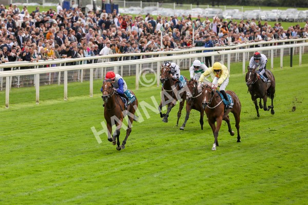 230923-Race 1-Invincible Molly-5179 - Race 1 2.00pm Jigsaw Sports Branding EBF Fillies' Novice Stakes