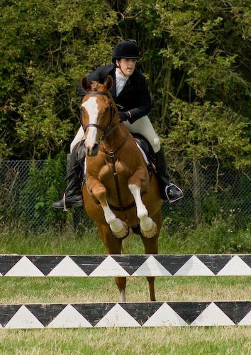 95 - Moniaive Horse Show 2008