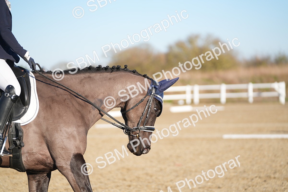 SBM_005627 - Class 6 - E1-80cm