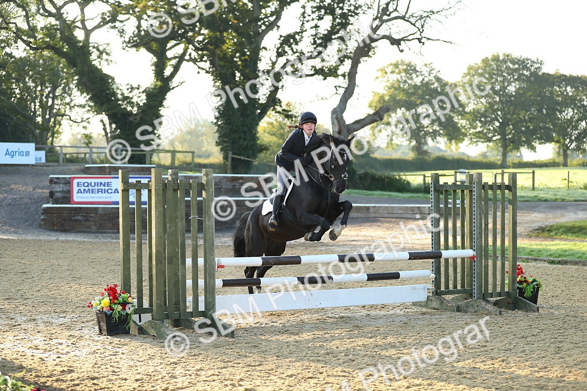 SBM_57662 - J64 - Clear Round 90cm