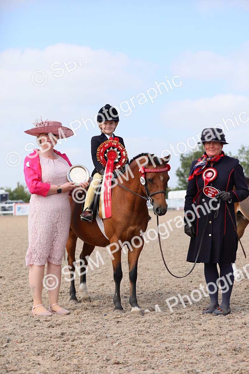 SBM_14087 - Class 309 Lead Rein Pony