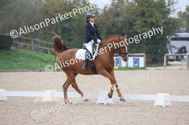 20251012-0659 - Class 5 - Elementary 5