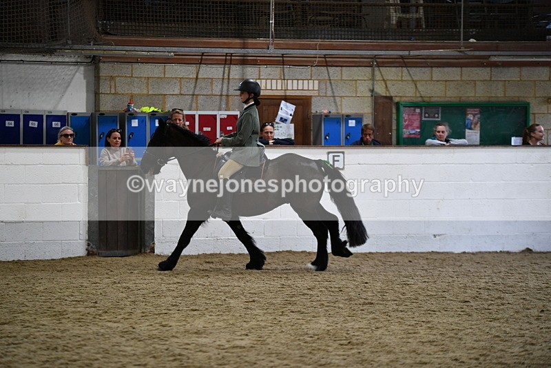 WJ5_7894 - Class 13 Ridden Part Breed
