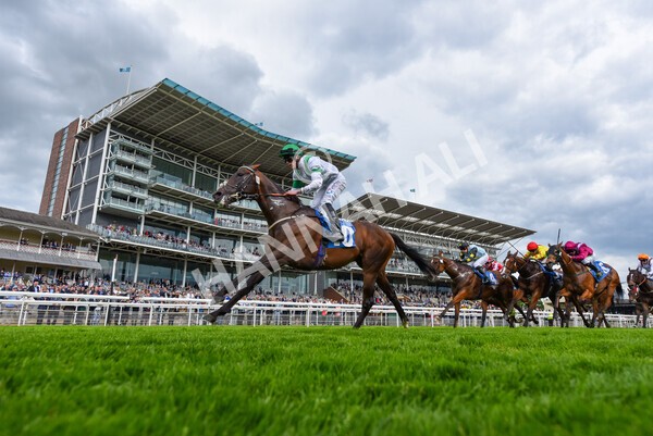 yr22052022r4-30 - Race 4: 5:05pm Sky Bet Sunday Mile