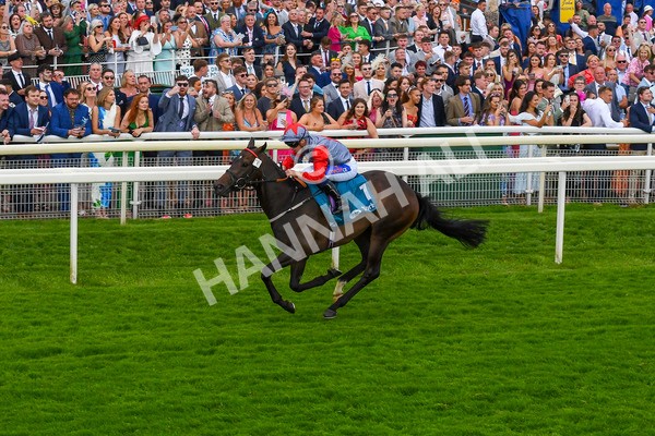 290723-Race 7-Bajan Bandit-1110 - Race 7 5.45pm Sky Bet Extra Places Every Day Handicap