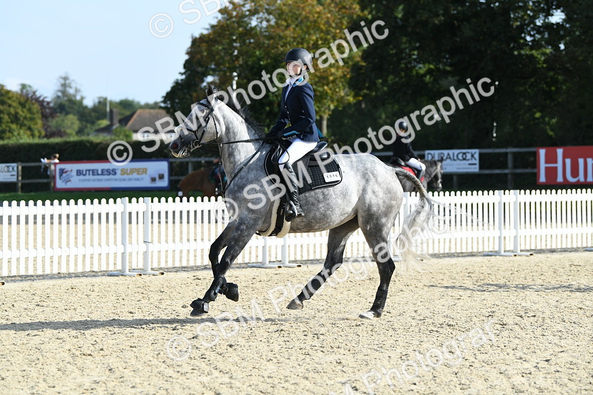 SBM_60675 - j25 - Junior Horse 80cm Championship