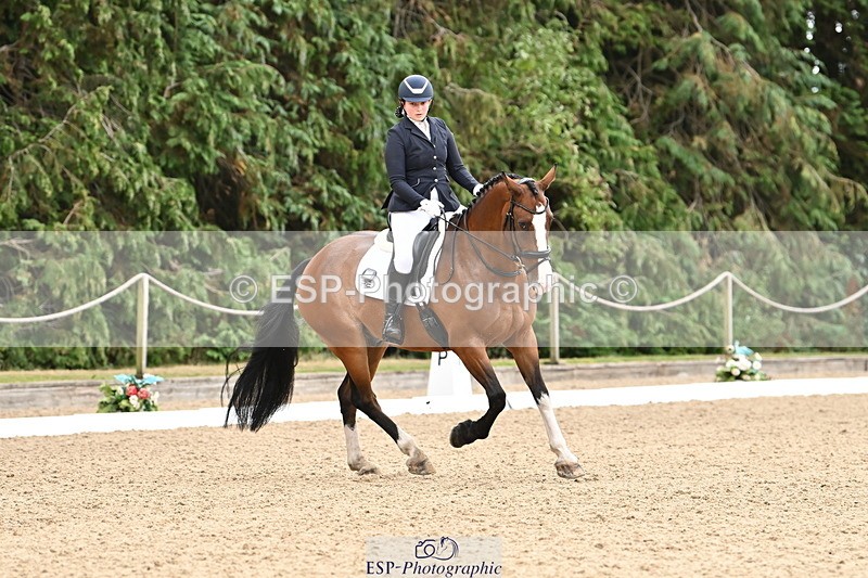 250808A-111326-00411 - 092-Bella.Balian-Beechwood.Joey