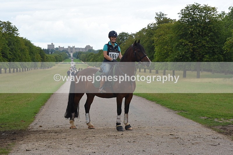 TT3_0031 - Time at Crossing 13:17 to 14:48