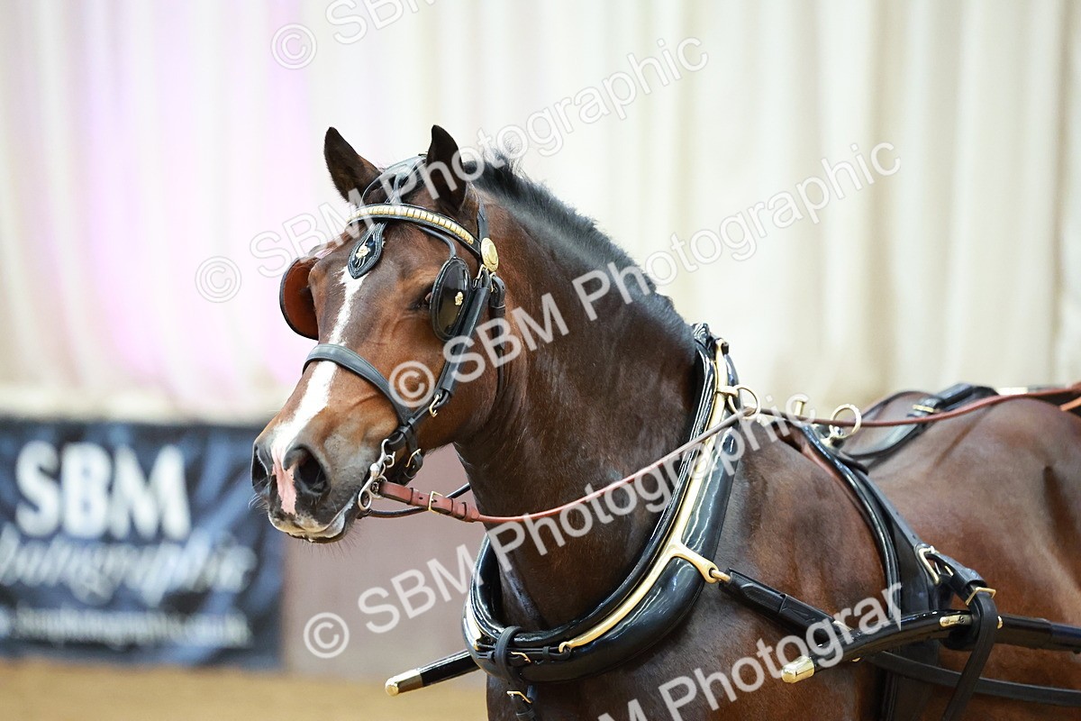 SBM_000189 - Class 3 - Alison Thomas Memorial Lady Whip