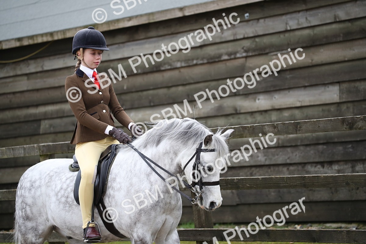 SBM_005882 - Class 10-13 - RIHS Small Large Breeds