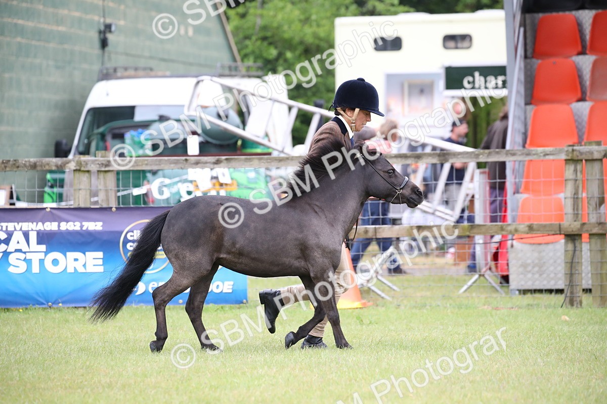 SBM_03879 - Class 23-25 - British Miniature Horse of the Year