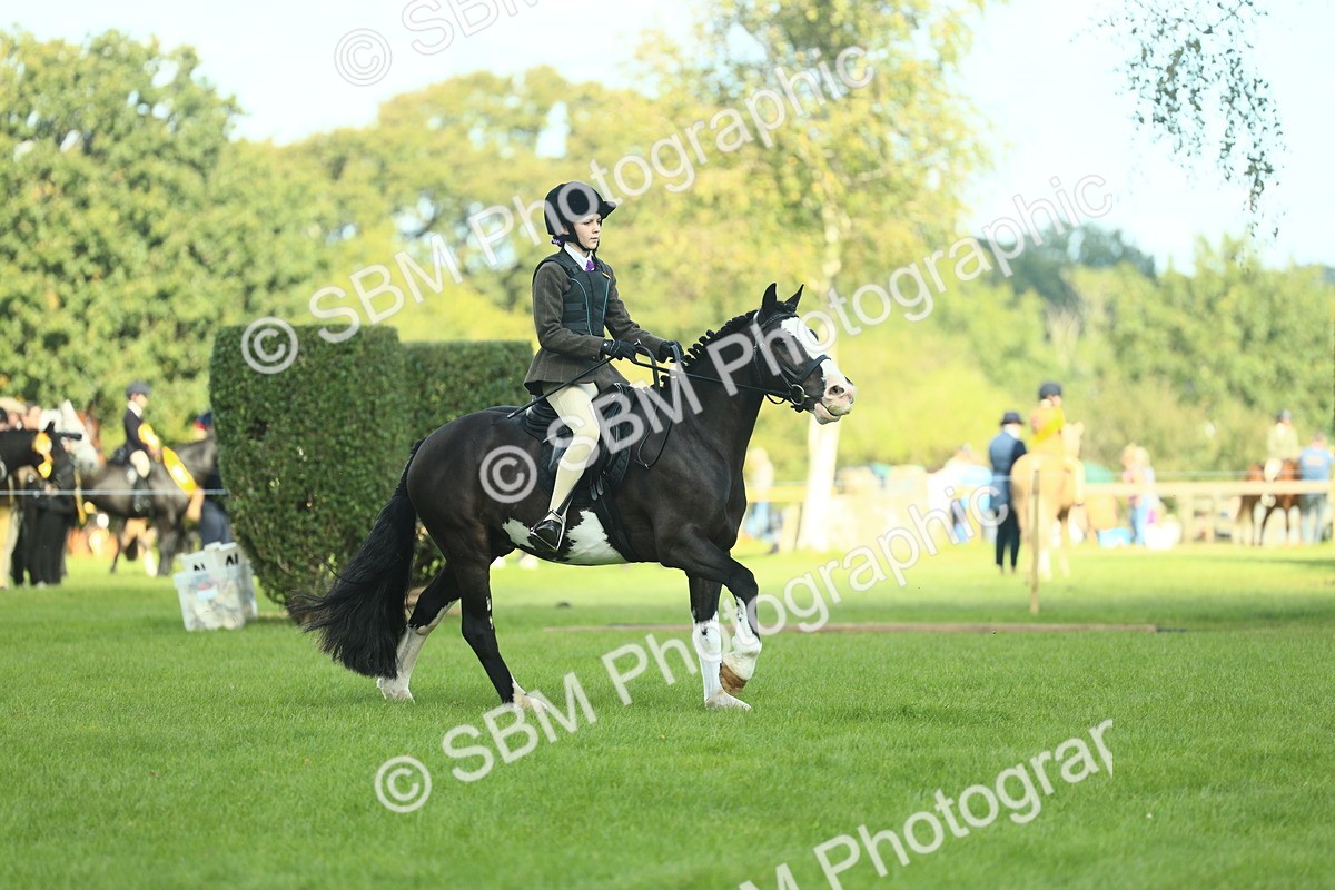 SBM_42004 - S29 - Novice & Newcomers Working Hunter Pony