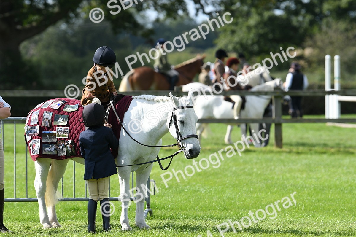 SBM_47044 - S12 - Family Horse & Pony