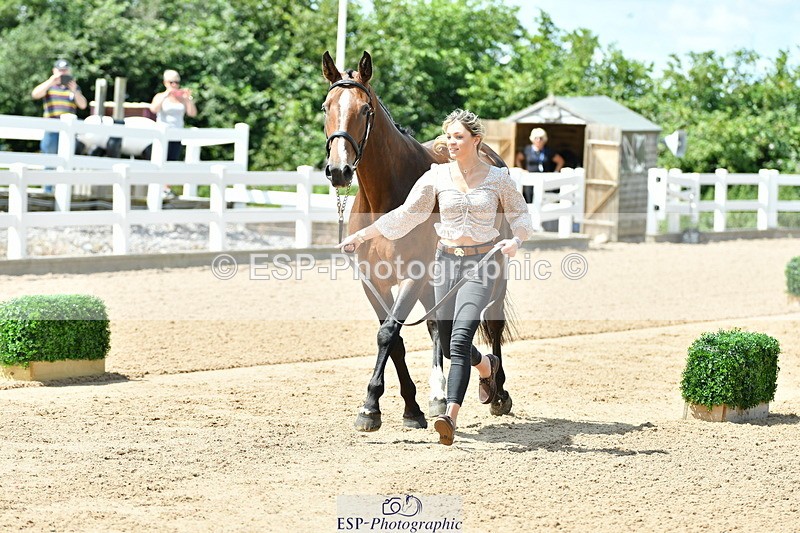 230719A-121902-00145_Trot Up 12pm to 1pm - 079-756-5000