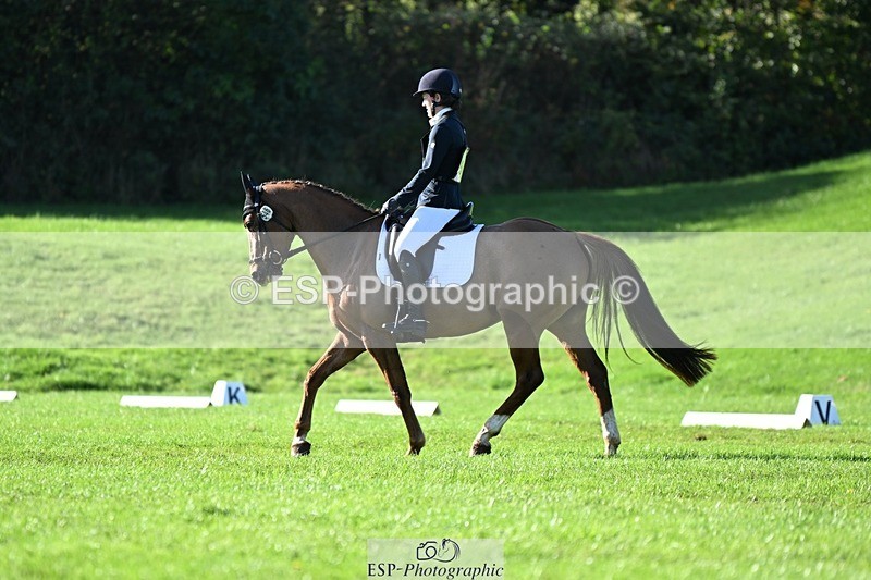 241025-112136-07129 - 546-Jennifer.Jaques-AURELIA.COOL