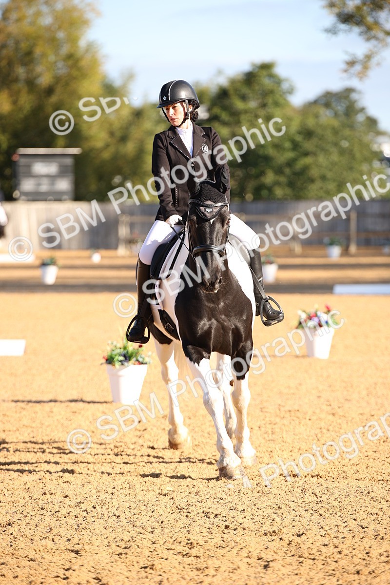 SBM_01811 - D2 Small Tour Championship Intro C