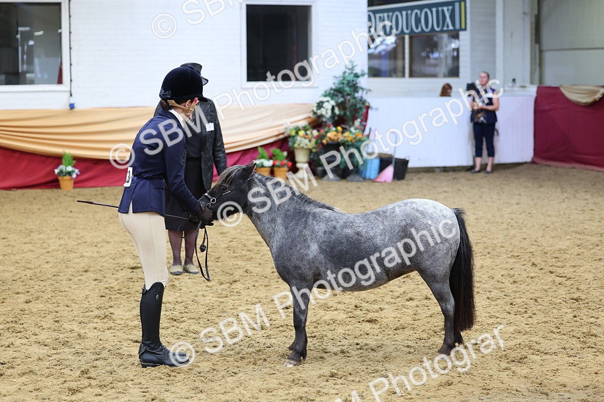 SBM_22852 - Class 903 - Supreme Final - IH Pre Vet