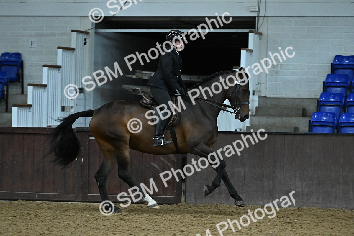 SBM_002085 - Class 23 - BSHA Ridden Show Hunter