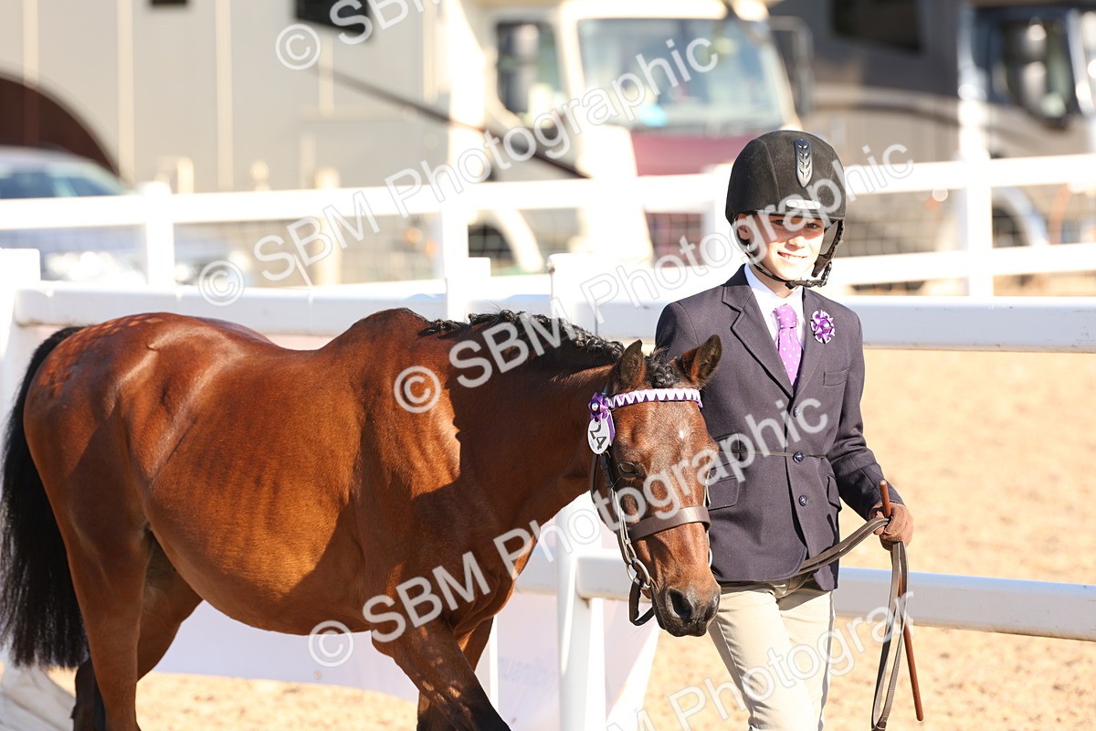 SBM_11616 - Class 203 - Young Handler 11 to 16 years