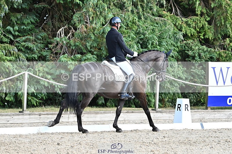 250808A-162219-01910 - 127-Joe.RoomeMonarchs.Way.Her.Grace