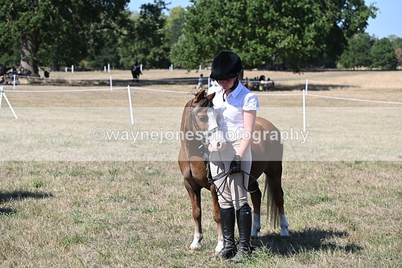 WJ6_9308 - Class 40 Cheekiest Pony/Horse