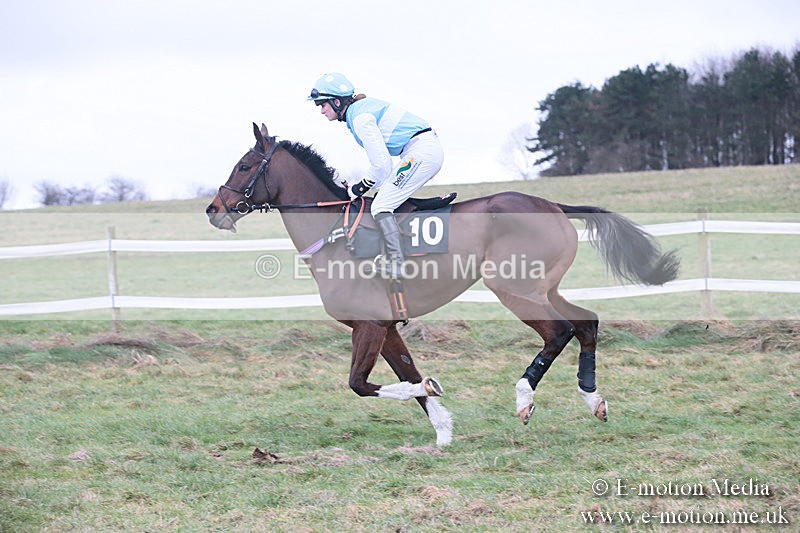 PtP 230119 314 - Royal Artillery Point-to-Point  - Larkhill  - 26/01/19