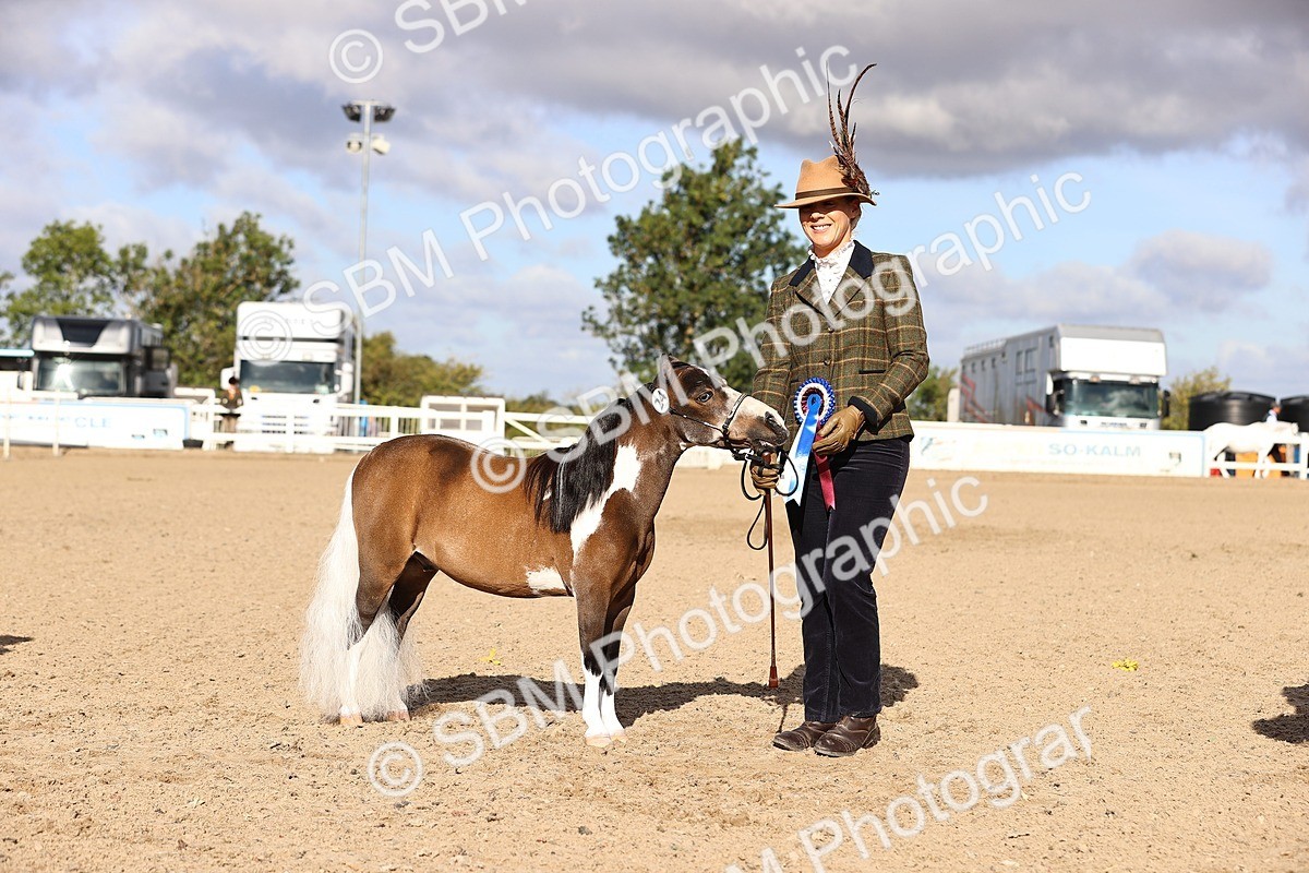 SBM_08541