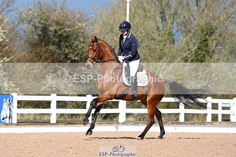 240323A-111512-02566 - DR Novice 24