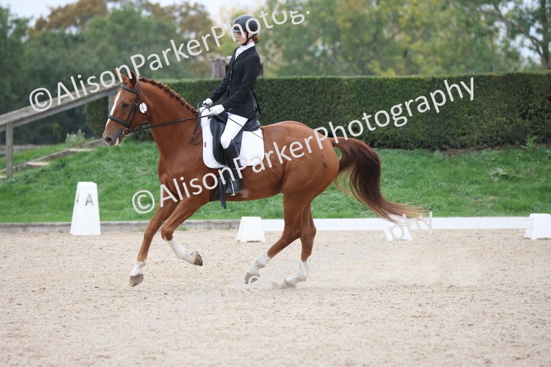 20251011-0539 - Class 6 - Elementary 1