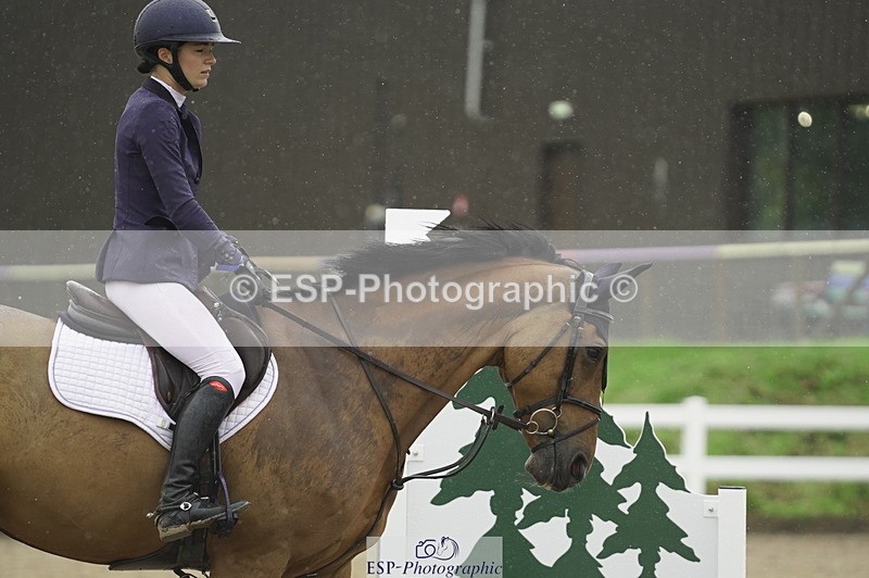 230722A-132012-09333 - Cls 15, 1 Star Bronze 1.15m