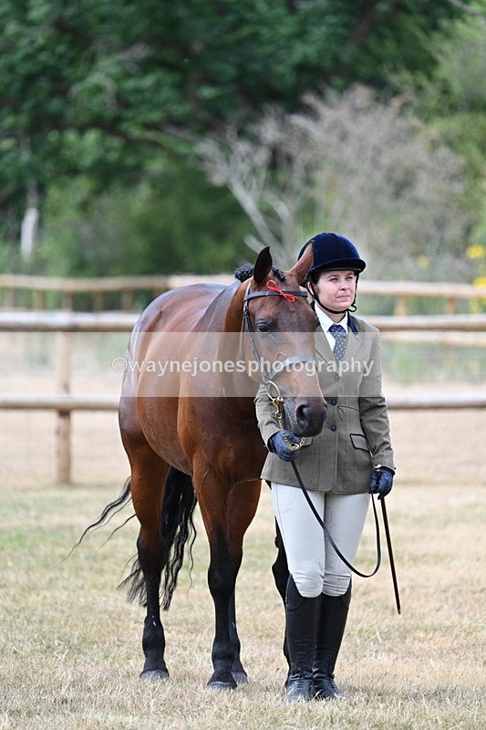 WJ7_1854 - Class 4a Prettiest Mare 14.2hh and over hand