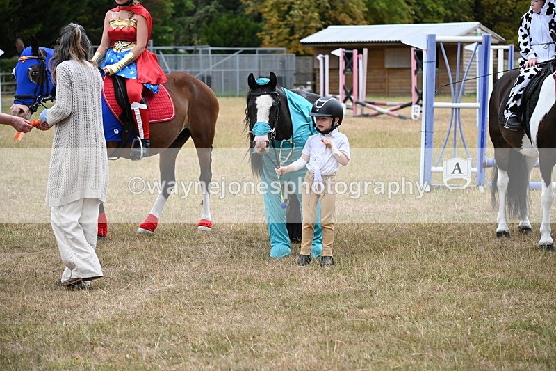 WJ6_9063 - Class 11 Fancy Dress
