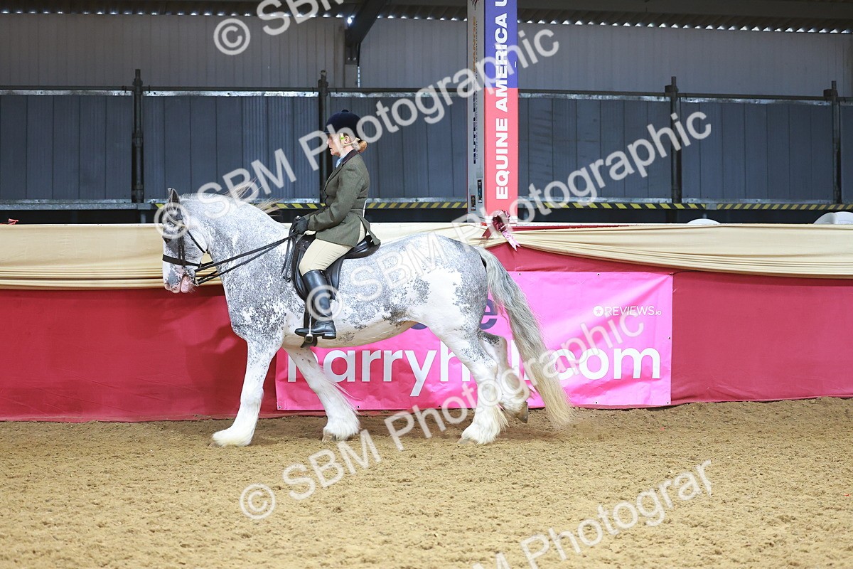 SBM_12483 - Class 103 - HOYS Veteran Qualifier - Ridden Pre Vet