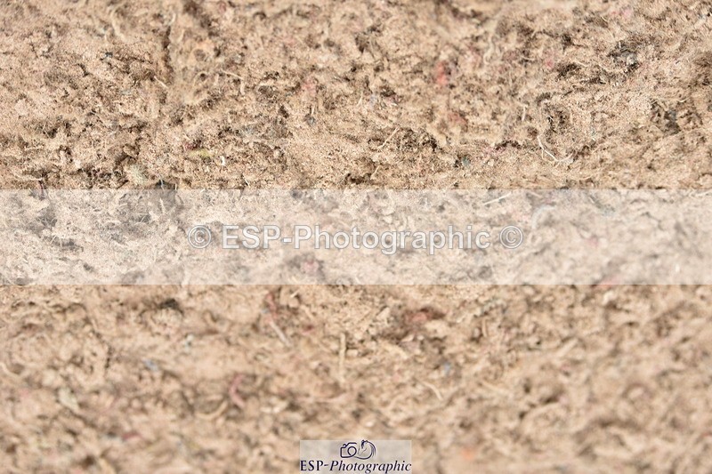 230810A-135246-01210 - Cls 10 6 Year Old Championship