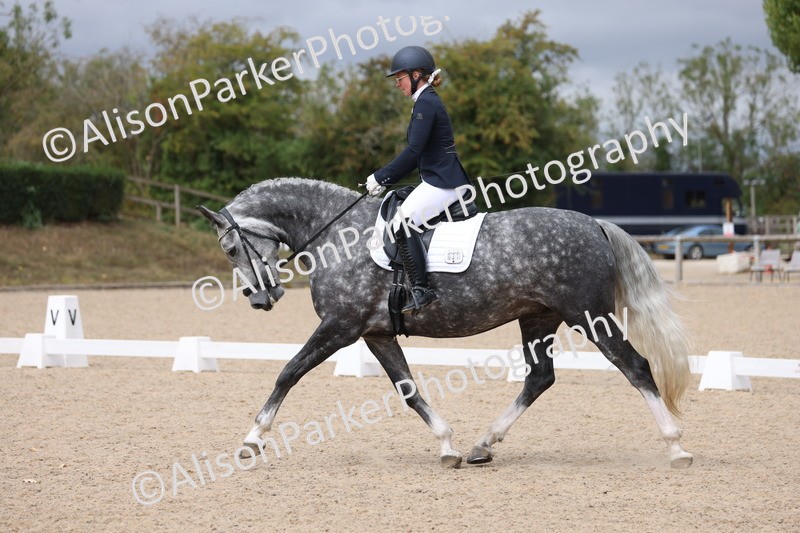 20250820-0798 - Class 15 - Novice 4