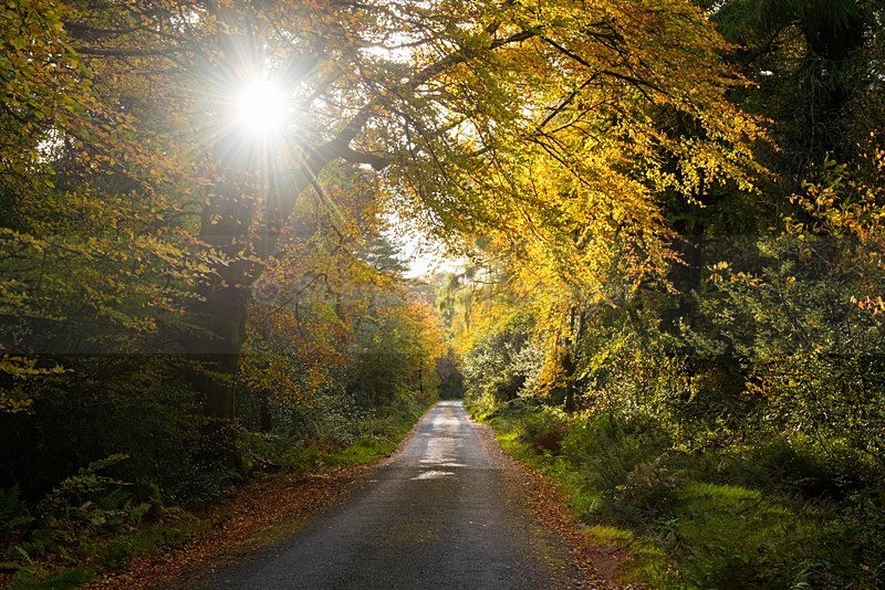 MF1_9946-2 - South Inishowen